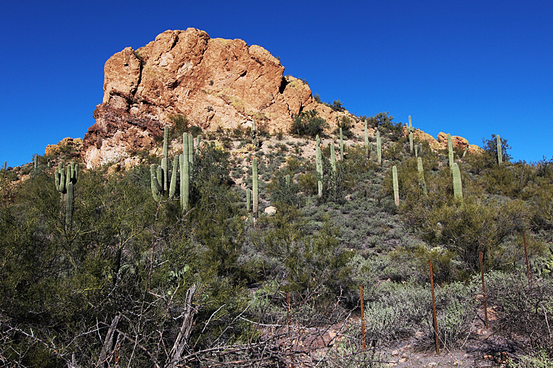 Goldfield Mountains