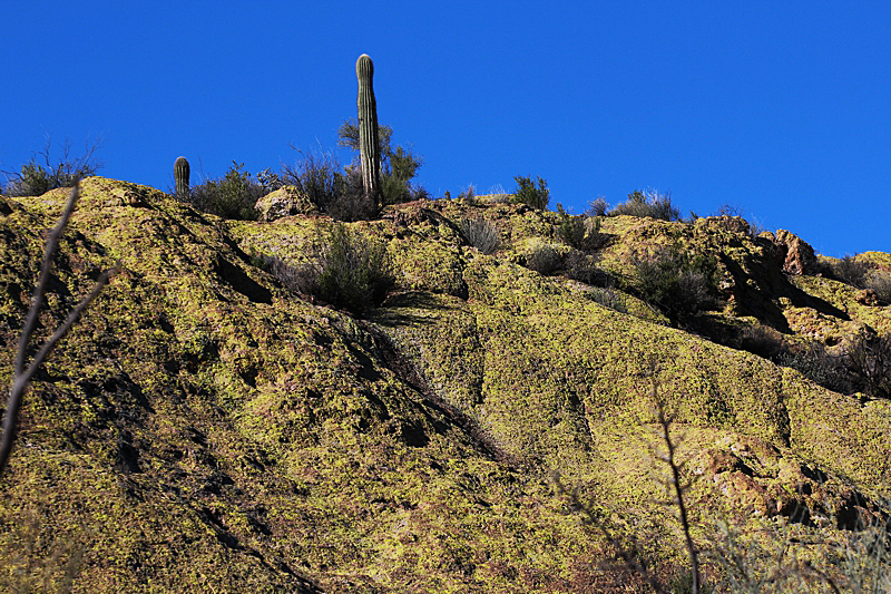 Goldfield Mountains