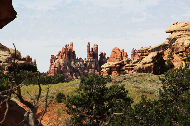 Canyonlands Nationalpark Needles District