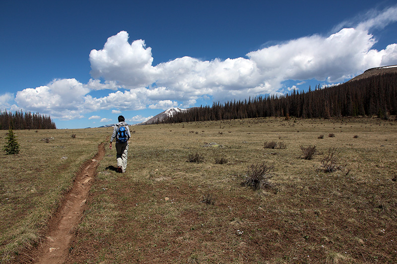 Wheeler Geologic Area