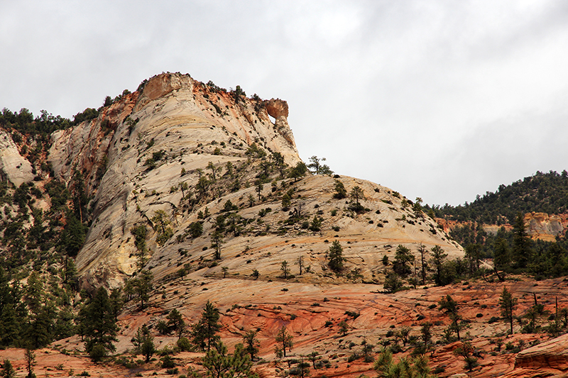 Zion National Park Center of the Universe