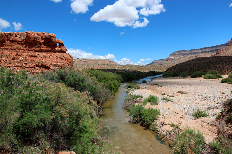 Virgin River Cedar Pockets