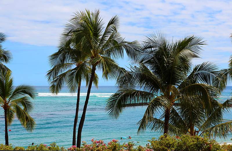 Waikiki