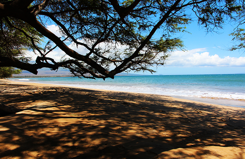 Maui Strand