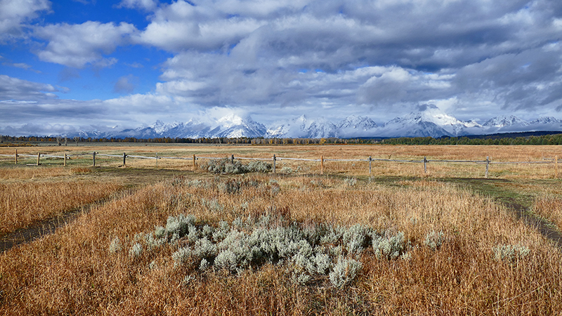 Two Ocean Lake Grand Teton National Park