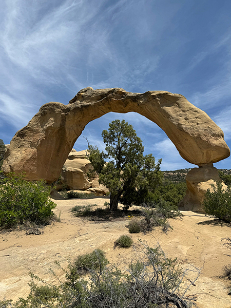 Cox Canyon Arch