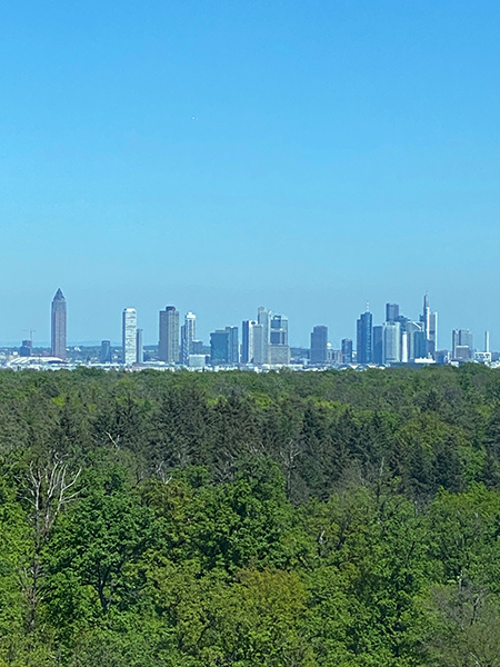 Frankfurt Skyline Frankfurt Skyline