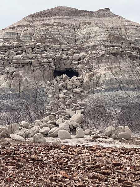Red Basin Clam Beds [Petrified Forest National Park]