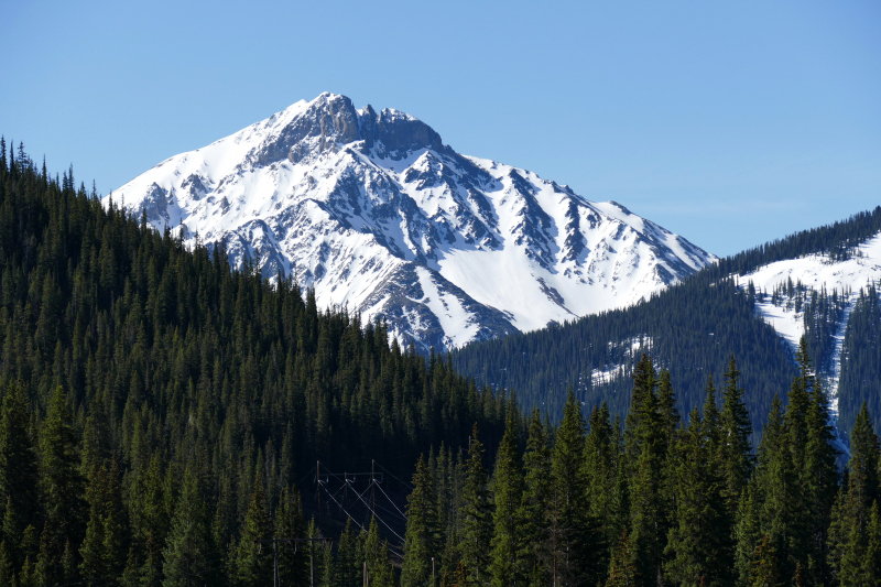 Columbine Trail