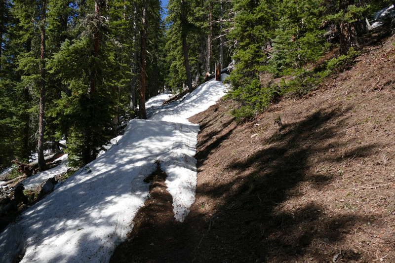 Columbine Trail