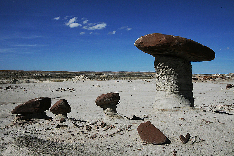 Ah-shi-sle-pah Wash [San Juan Basin]