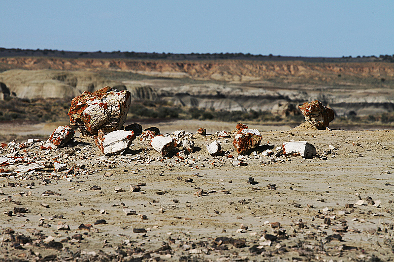 Ah-she-sli-pah Wash [San Juan Basin]