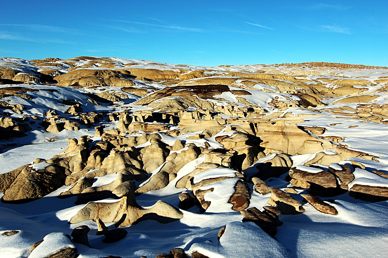 Ah-she-sli-pah Wash [San Juan Basin]