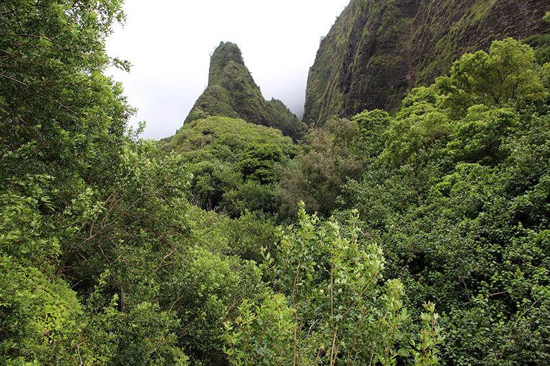 iao Needle-iao Valley State Monument [Maui - Hawaii]