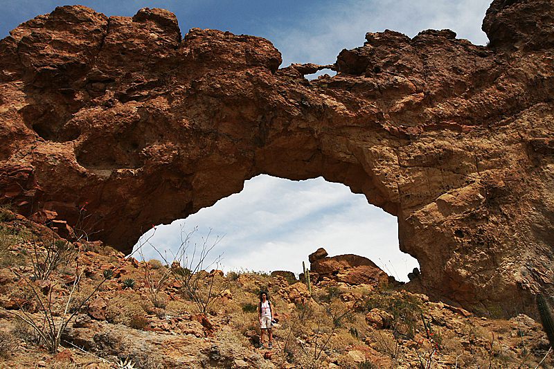 Ajo Window [Organ Pipe Cactus National Monument]