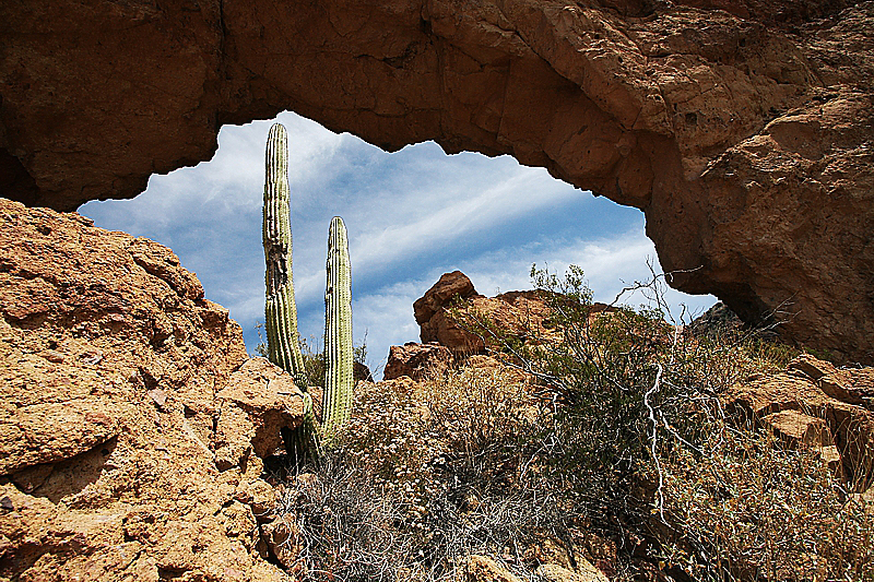 Ajo Window [Organ Pipe Cactus National Monument]