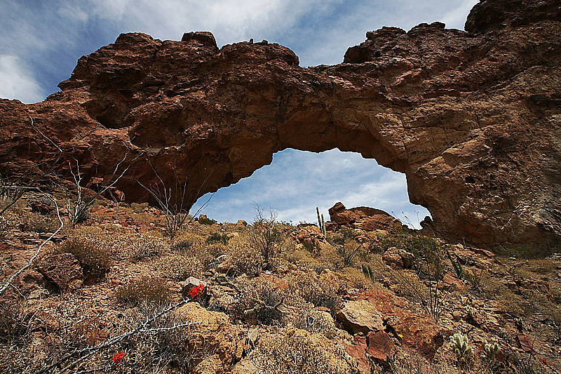 Ajo Window [Organ Pipe Cactus National Monument]