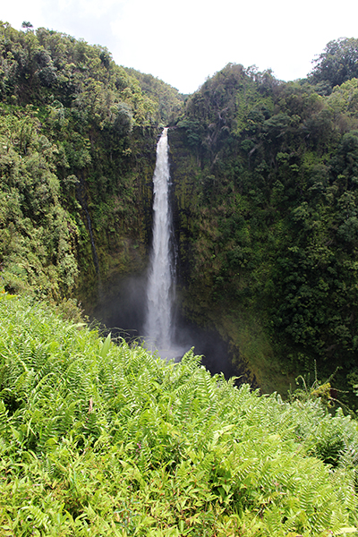 Akaka Falls State Park