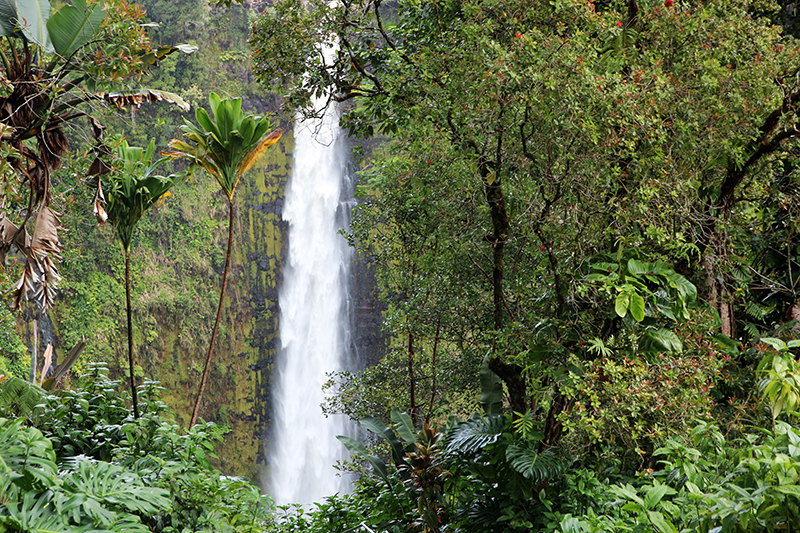 Akaka Falls und Kahuna Falls [Big Island - Hawaii]