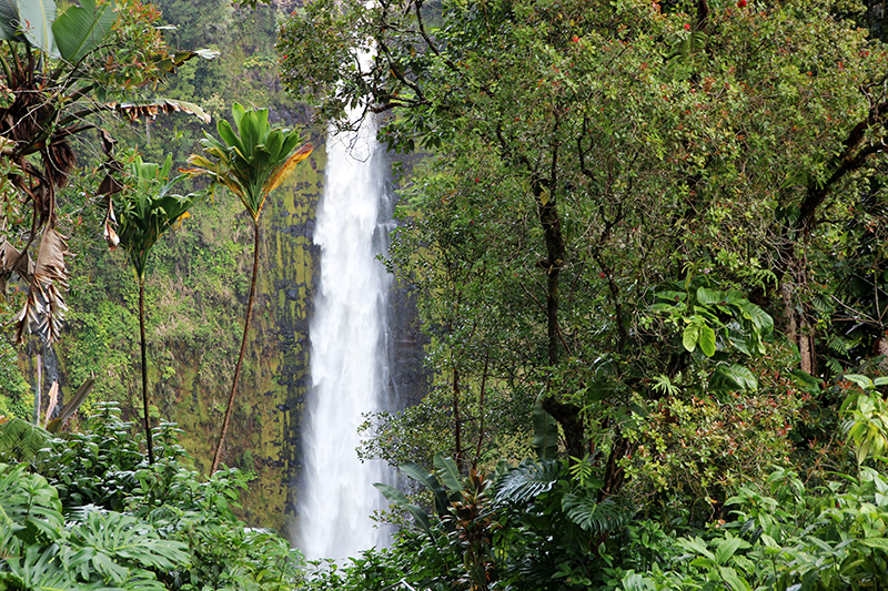 Akaka Falls State Park