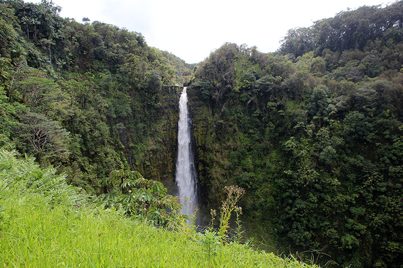 Akaka Falls State Park