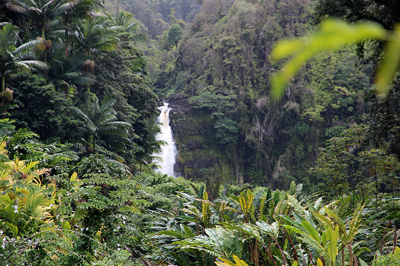 Akaka Falls und Kahuna Falls [Big Island - Hawaii]