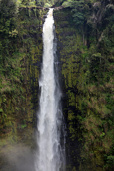 Akaka Falls State Park