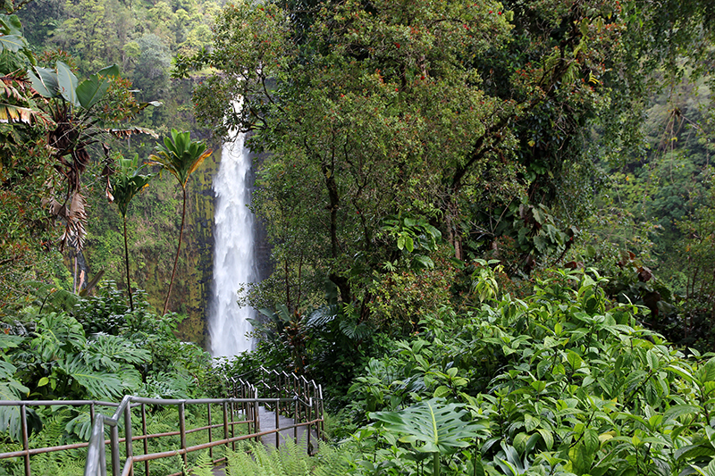 Akaka Falls und Kahuna Falls [Big Island - Hawaii]