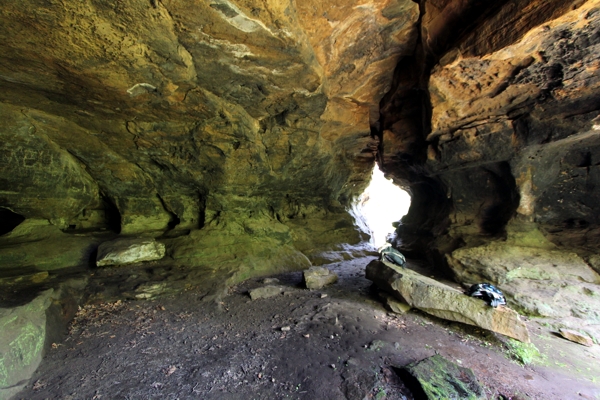 Alum Cove Arch Cluster