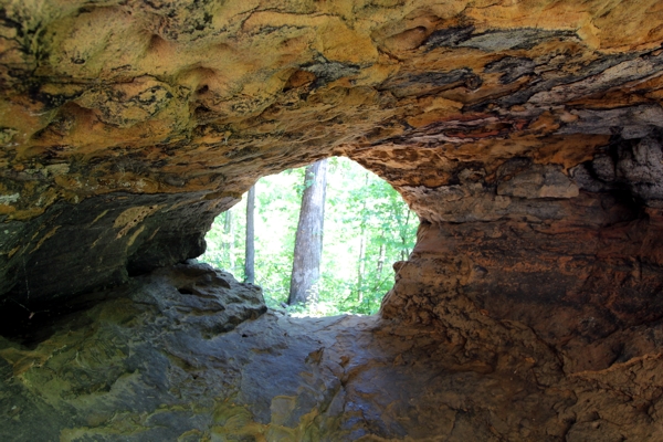 Alum Cove Arch Cluster