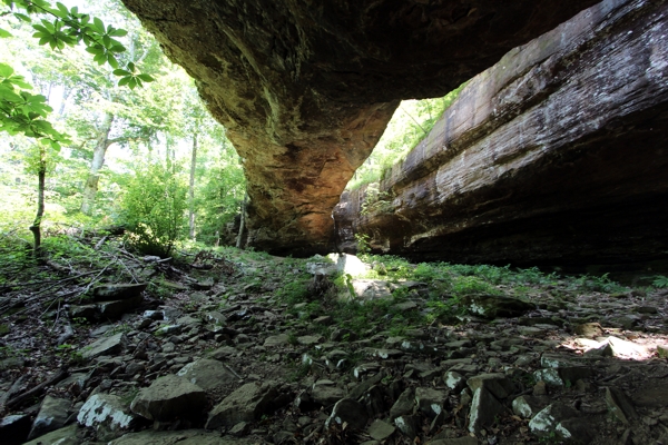 Alum Cove Natural Bridge, -Arch Cluster und -Arch [Alum Cove NRA]