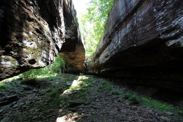 Alum Cove Natural Bridge