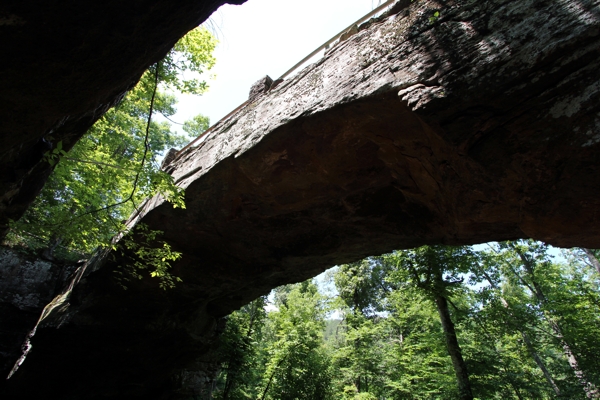 Alum Cove Natural Bridge, -Arch Cluster und -Arch [Alum Cove NRA]