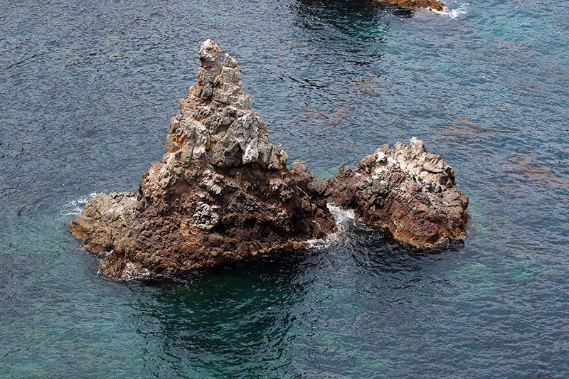 Anacapa Island [Channel Islands National Park]