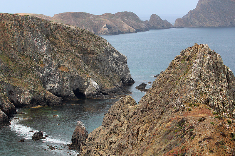 Anacapa Island [Channel Islands National Park]