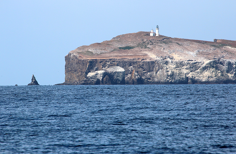 Anacapa Island [Channel Islands National Park]