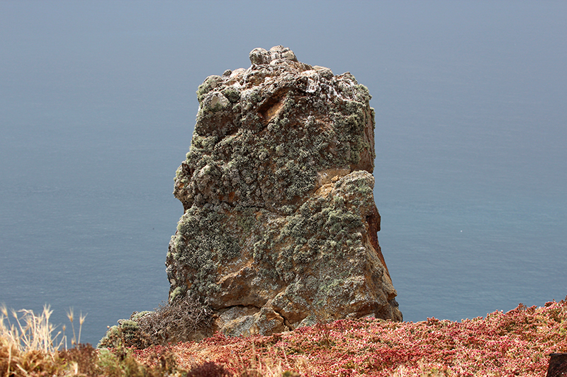 Anacapa Island [Channel Islands National Park]