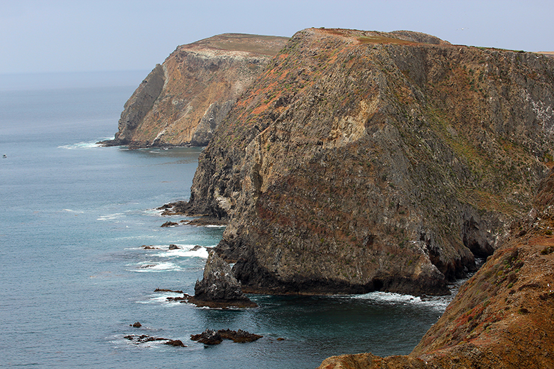 Anacapa Island [Channel Islands National Park]