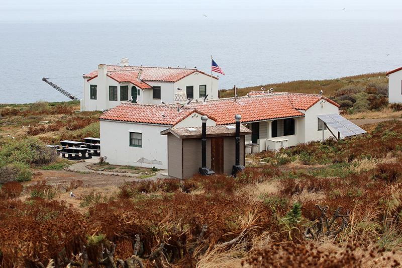 Anacapa Island [Channel Islands National Park]