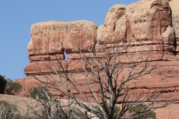 Anchor Arch