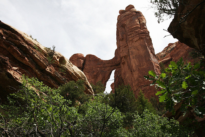 Arch Canyon [Cathedral und Angel Arch]