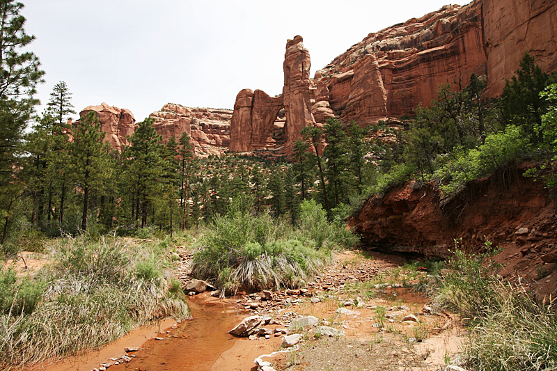 Arch Canyon [Cathedral und Angel Arch]