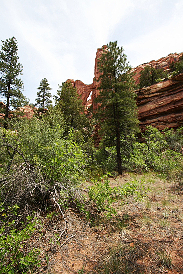 Angel Arch im Arch Canyon