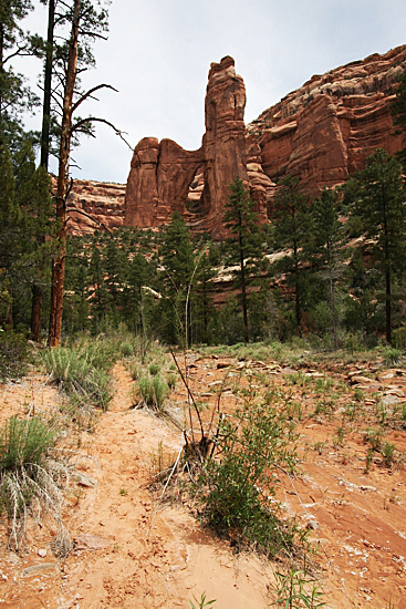 Angel Arch im Arch Canyon