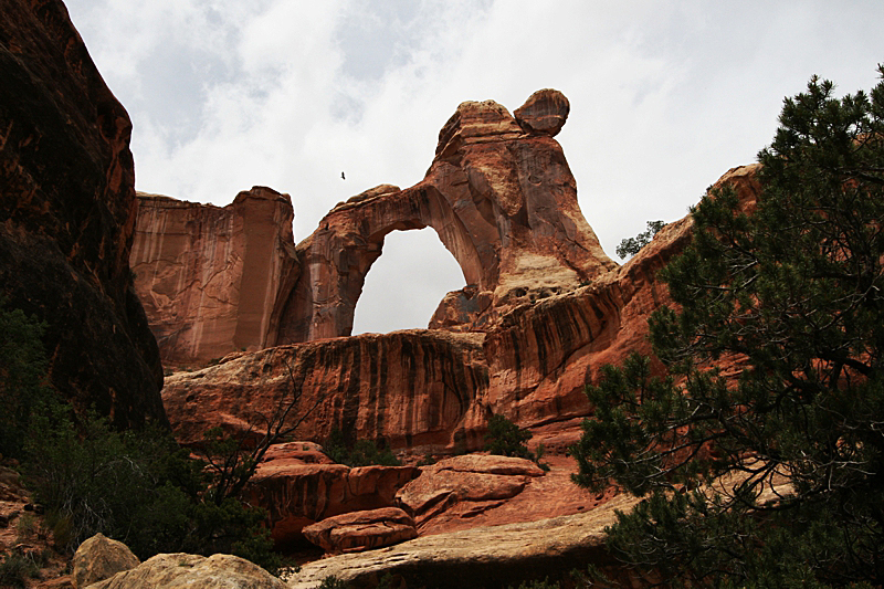 Angel Arch [Salt Creek - Canyonlands National Park]