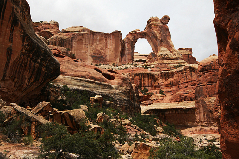 Angel Arch [Salt Creek - Canyonlands National Park]