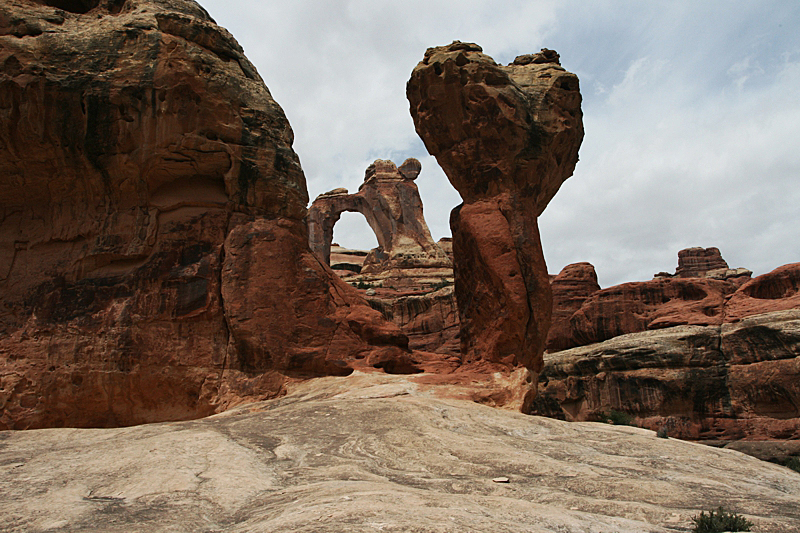 Angel Arch [Salt Creek - Canyonlands National Park]