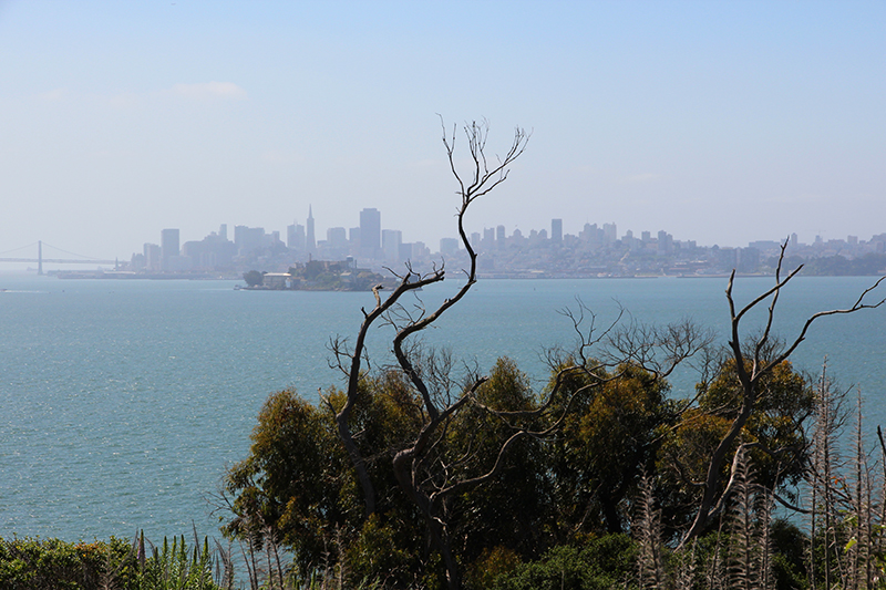 Angel Island