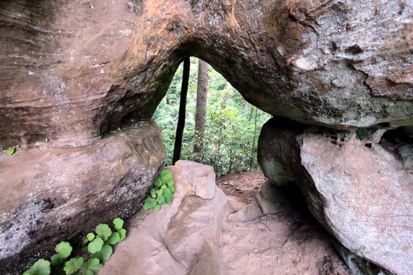 Angel Windows [Red River Gorge]