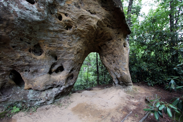 Angel Windows [Red River Gorge]